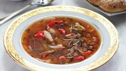 Tarragon žolelių padažo sriubos receptas