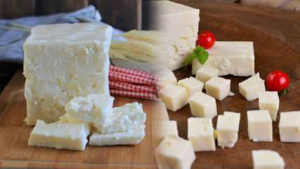 Kas yra Ezine sūris ir kaip jis suprantamas? Ezine sūrio receptas
