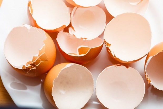 ėduonies gydymas kiaušinių lukštais
