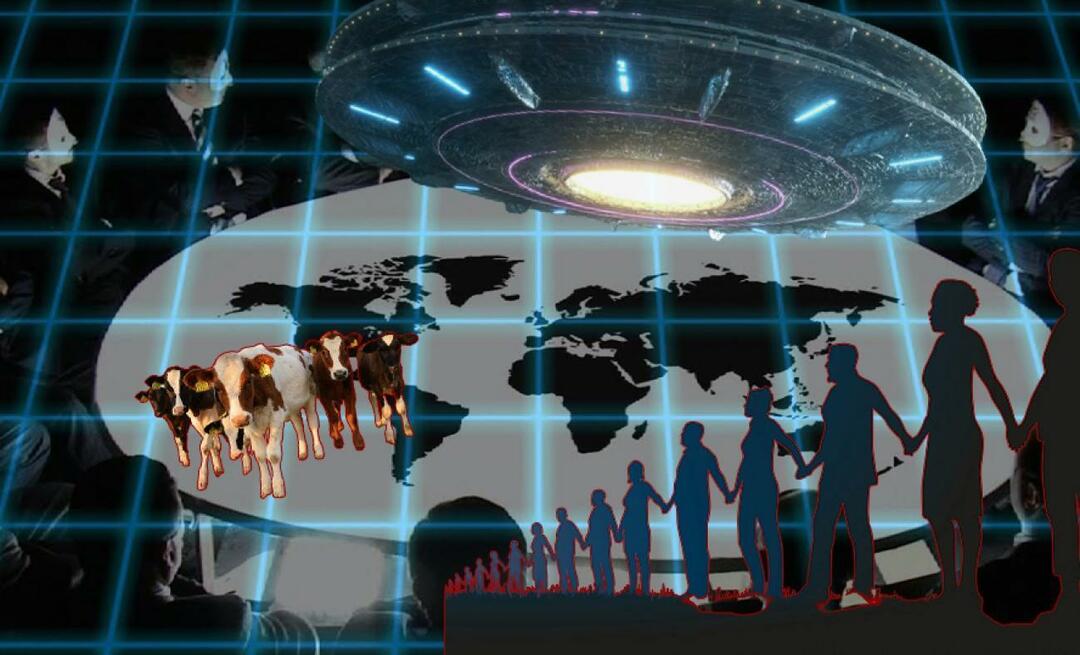 Suaktyvintas virtualus globalaus pasaulio uždarymas! Gyvūnai tampa jūrų kiaulytėmis „virtualiajai tvorai“