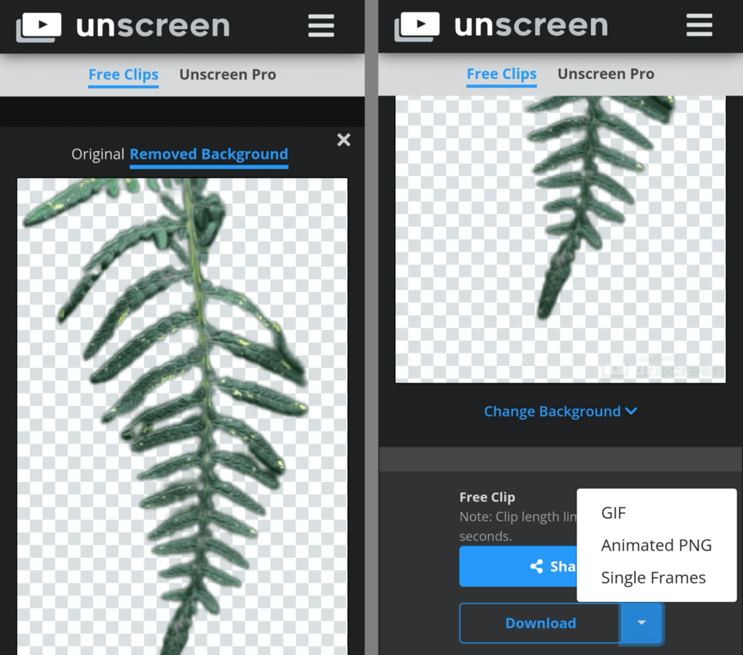 Unseen GIF kūrimo įrankio vaizdas