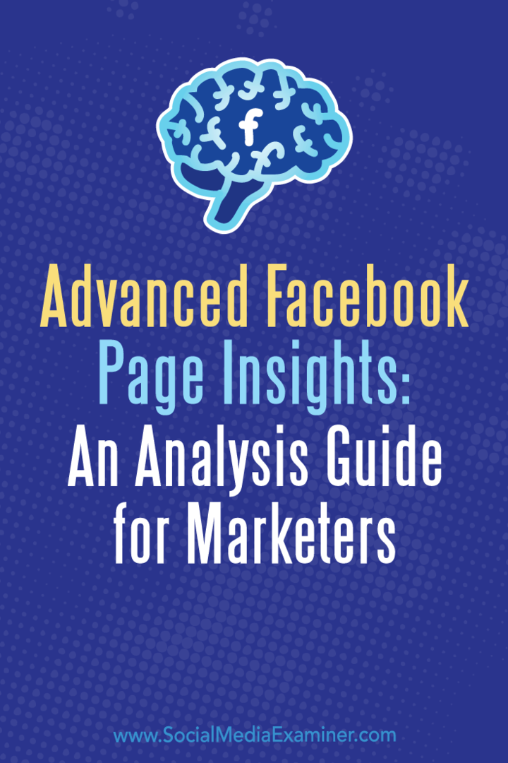 Išplėstinė „Facebook“ puslapio įžvalga: Jillo Holtzo analizės vadovas rinkodaros specialistams socialinės žiniasklaidos eksperte.