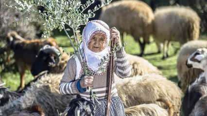 Teta Fatma jau pusę amžiaus yra piemuo Amanos kalnų papėdėje!