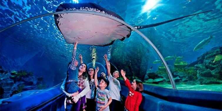  Stambulo jūros gyvybės akvariumo scenos