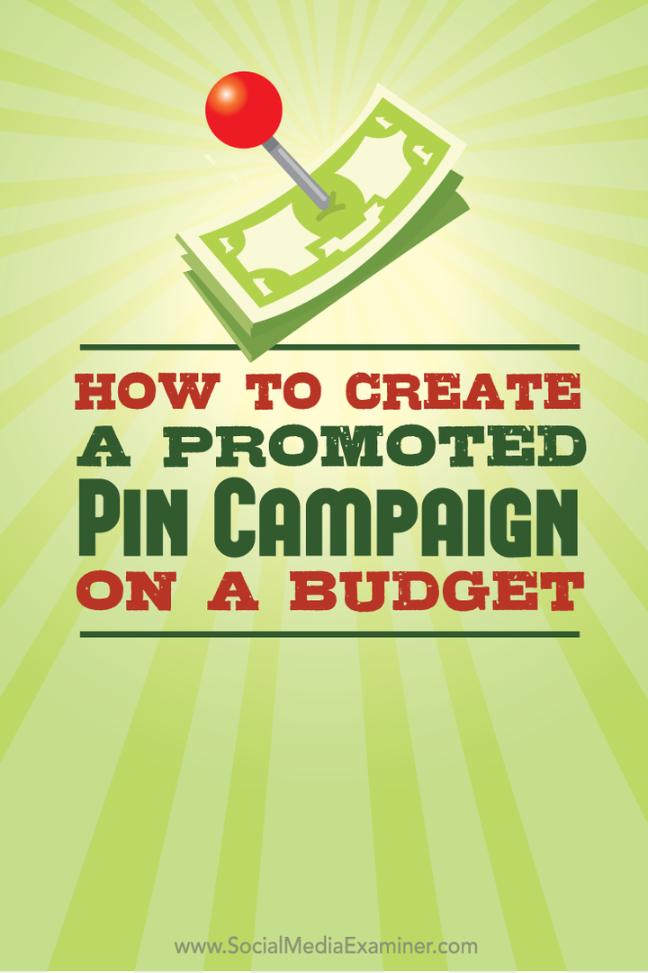 reklamuojama PIN kampanija pagal biudžetą