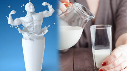 Ar geriant pieną prieš miegą susilpnėja? Nuolatinė ir sveika liekninančio pieno dieta