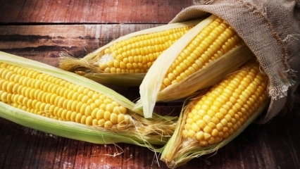 Kokie yra kukurūzų pranašumai? Ar geriate virtų kukurūzų sultis?