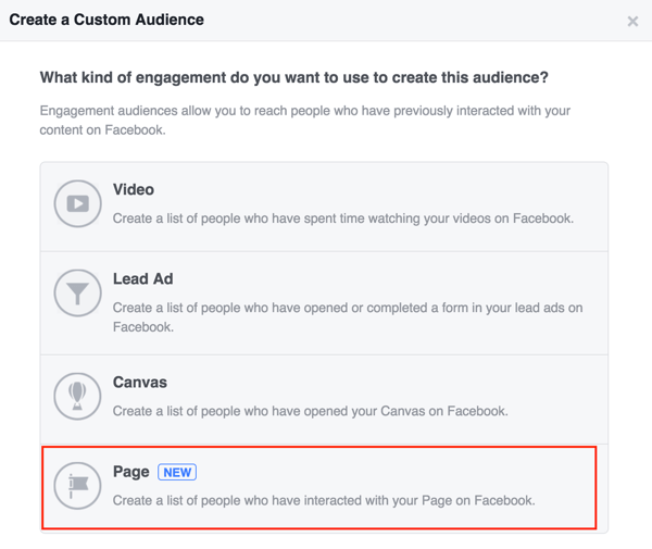 Pasirinkite „Puslapis“, kad sukurtumėte „Facebook“ pasirinktinę auditoriją.