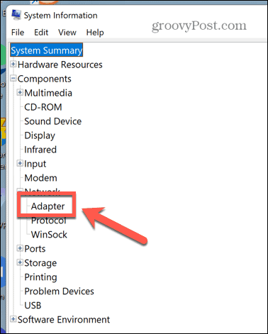 Windows 11 sistemos informacijos adapteris