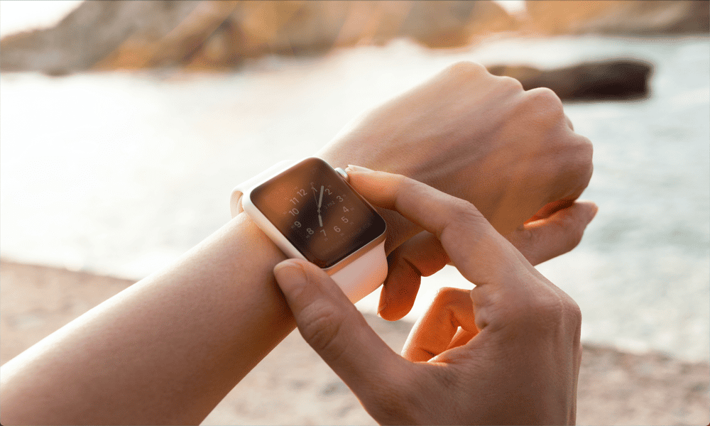 „Apple Watch“ valdiklių vaizdas