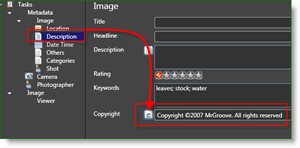 „Microsoft Pro Photo Tools“ fotografo „MetaData Auto“ autorių teisės:: groovyPost.com