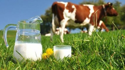 Kas yra pieno alergija? Kada praeina kūdikių alergija pienui? Alergija karvės pienui ...