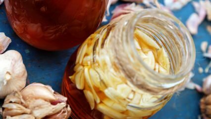 Medaus ir česnako nauda! Kas nutiks, jei kiekvieną dieną suvalgysite šaukštą medaus ir česnako?