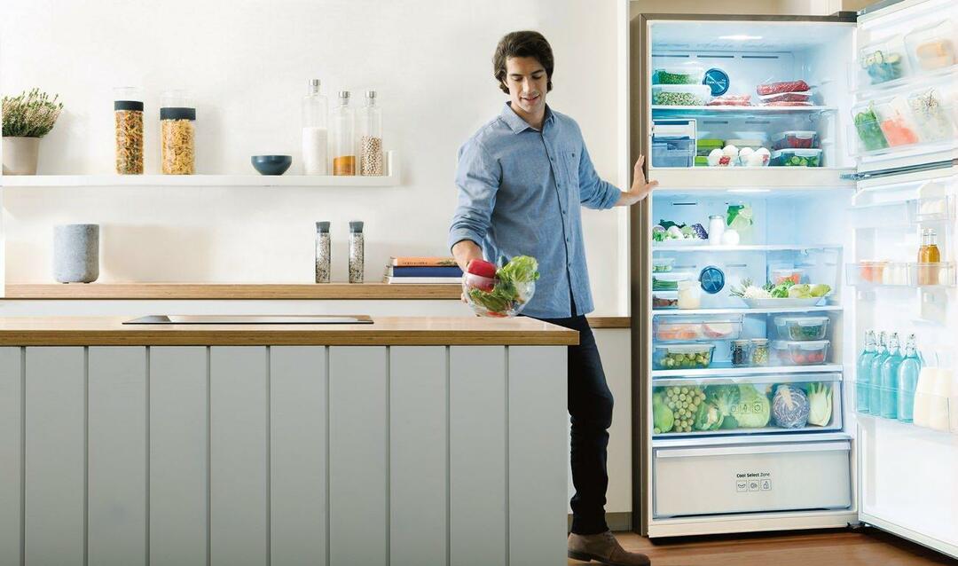 Įdomu apie No Frost šaldytuvą