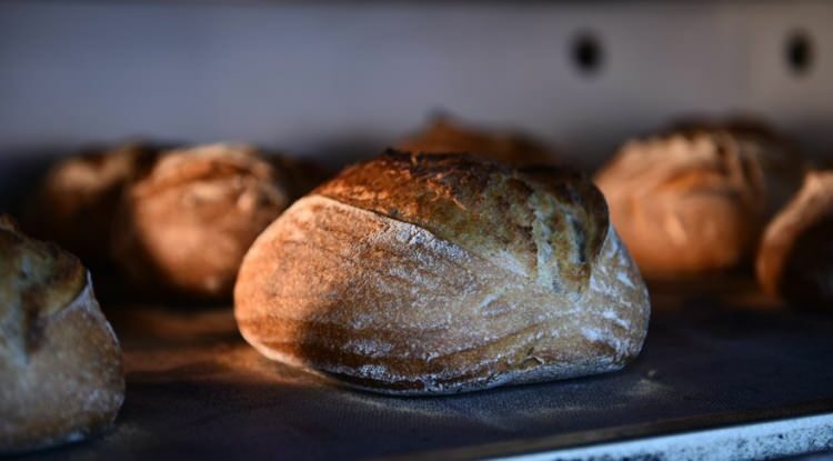 Kaip pasidaryti varškės duonos?