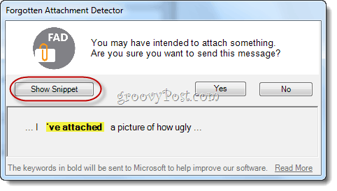 Pamirštas „Microsoft Outlook“ priedų detektorius