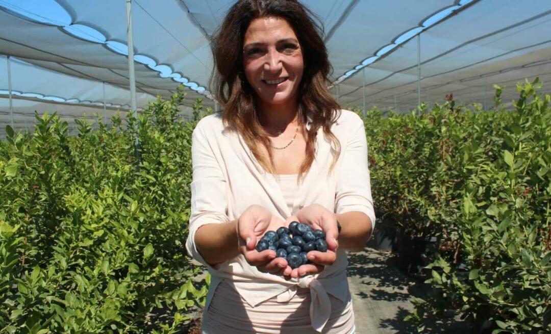 Jis tapo trečiu pagal dydį ūkininku Turkijoje, augindamas mėlynes!