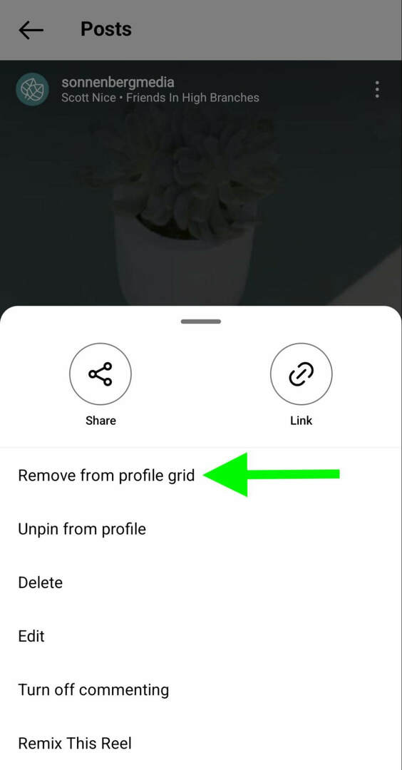 kaip-instagram-atsegti-reels-profile-remove-grid-sonnenbergmedia-step-4