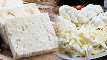 Kaip suprasti gerą sūrį? Sūrio pasirinkimo patarimai