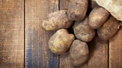 Kaip laikomos bulvės?