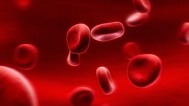 Kas yra kraujo grupės dieta? Kaip tai daroma?