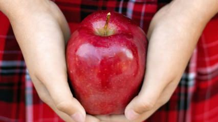Kaip vertinami supuvę obuoliai? 