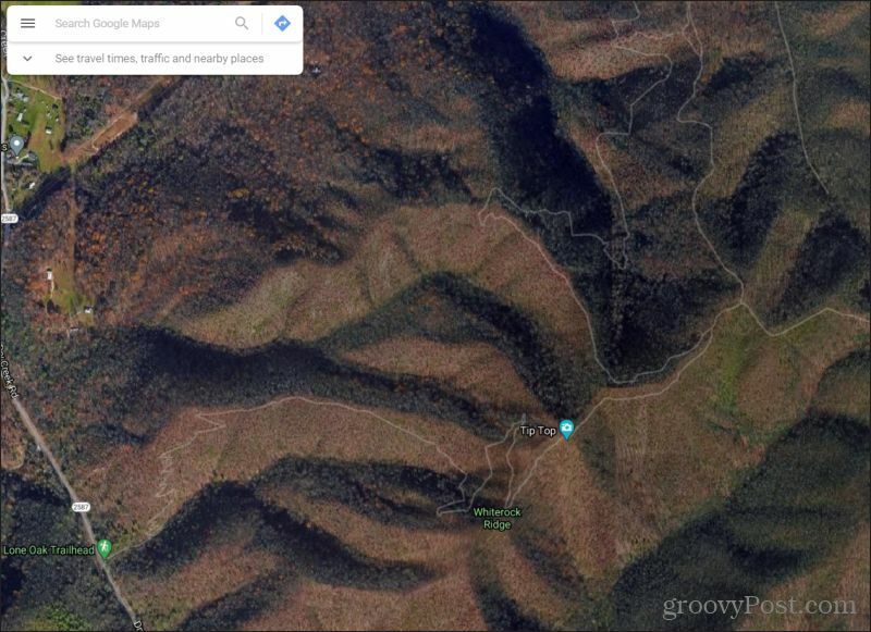 google maps palydovo vaizdas