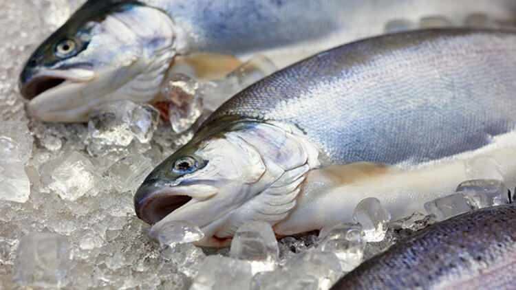 Ar keičiasi į šaldiklį įmestos žuvies skonis?