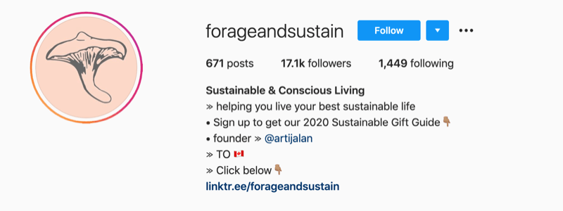 „Instagram“ profilio pavyzdys iš „@forageandsustain“ su užrašu savo profilio informacijoje, kad spustelėtumėte daugiau nuorodų