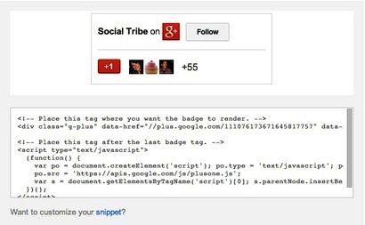 „Google +“ ženklelio kodo pavyzdys