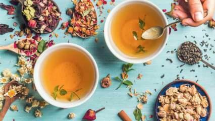Kokios yra greičiausiai riebalus deginančios žolelių arbatos? 7 efektyviausios riebalus deginančios žolelių arbatos! 