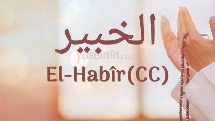 Ką reiškia al-Habir (c.c)? Kokios yra vardo Al-Habir dorybės? Esmaulas Husna Al-Habiras...