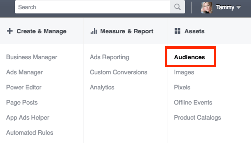 Eikite į „Facebook Ads Manager“ skyrių „Auditorijos“.