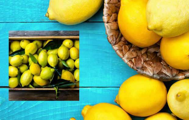 lieknėjimas laikantis dietos su citrina