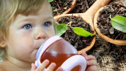 Ar kūdikiai gali gerti arbatą?