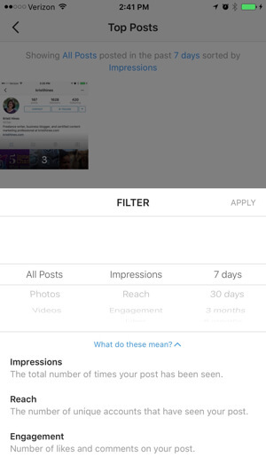 instagram verslo profilio įžvalgų filtras