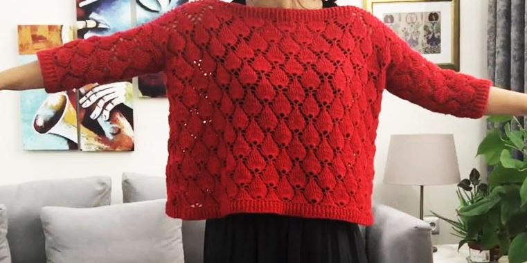 Nertas braškinių megztinių raštas