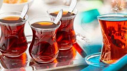 Kokie yra geriausi Evidea arbatos puodelių modeliai? 2022 m. Geriausi arbatos puodelių modeliai ir kainos