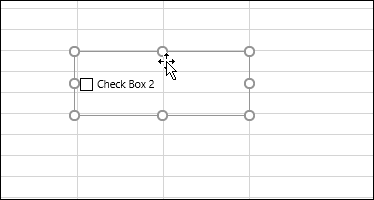 žymės langelis įvestas Excel skaičiuoklėje