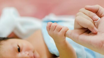 Kokios yra neišnešiotų kūdikių bendrosios savybės? Pasaulio premjeros diena lapkričio 17 d