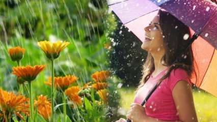 Ar balandžio lietus gydo? Kokios maldos turi būti skaitomos į lietaus vandenį? Balandžio lietaus nauda