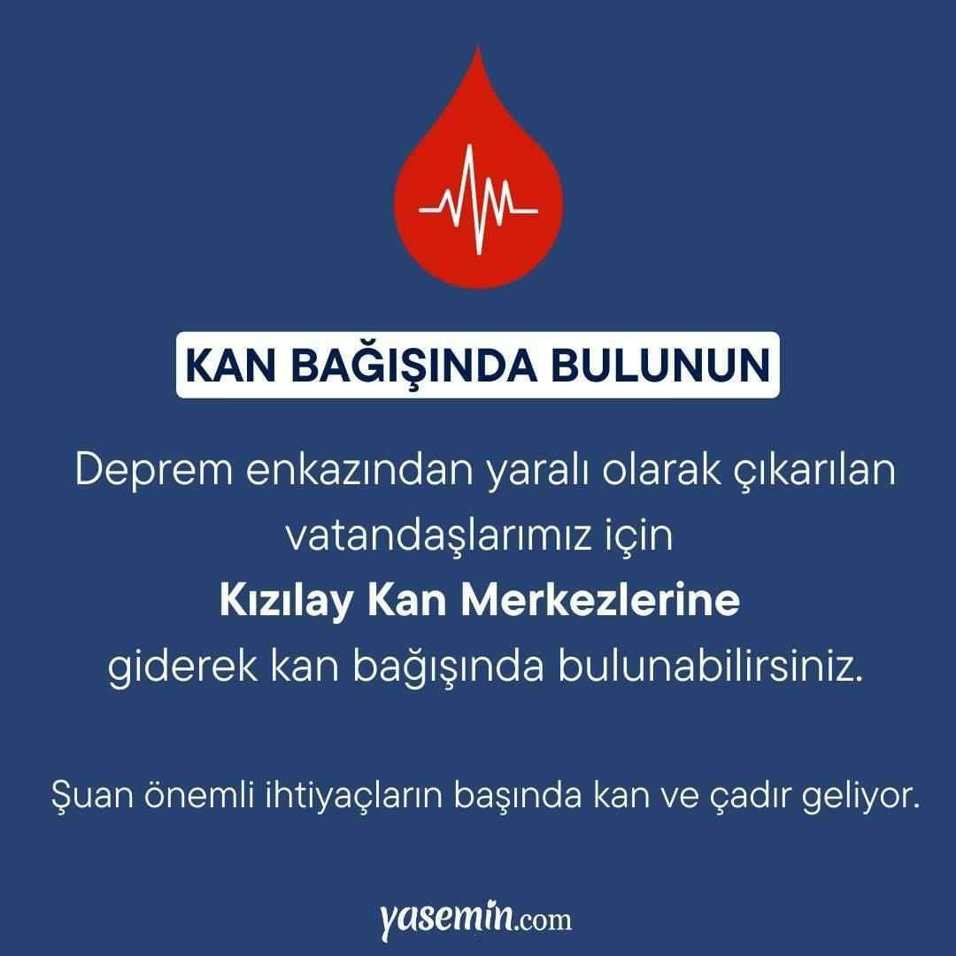 Kada transliuojamas bendras „Türkiye Single Heart“ laidas, koks laikas? Kuriuose kanaluose vyksta pagalbos žemės drebėjimui naktis?