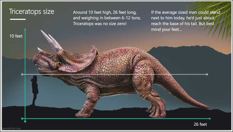„Triceratops“ skaidrių demonstravimas