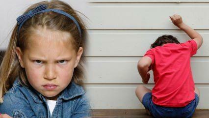 Kaip spręsti vaikų pykčio problemą? Vaikų pykčio ir agresijos priežastis 