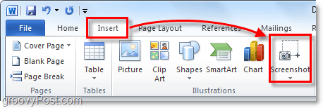 ekrano mygtukas yra po įterpimo juostele „Office 2010“
