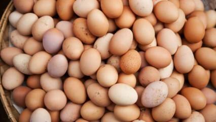 Į ką reikėtų atsižvelgti renkantis kiaušinį?