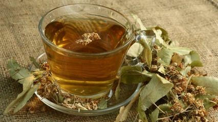 Kuo naudingi liepai? Kokios ligos yra naudingos? Kaip pasidaryti liepų arbatą?
