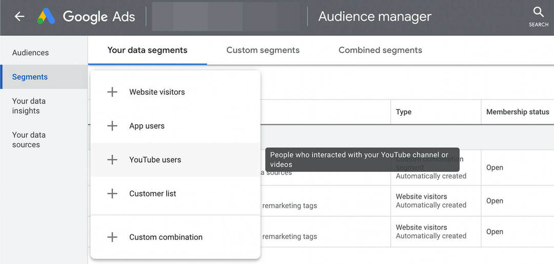 kas-yra-youtube-audience-targeting-google-ads-data-segments-example-2