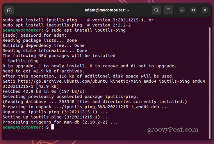 ubuntu įdiegti ping