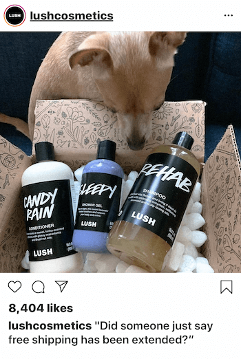 „Instagram“ verslo įrašas su šunimi